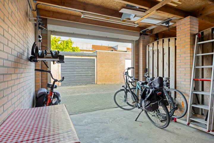 Photo 53 of Gelaarsde Kat 48