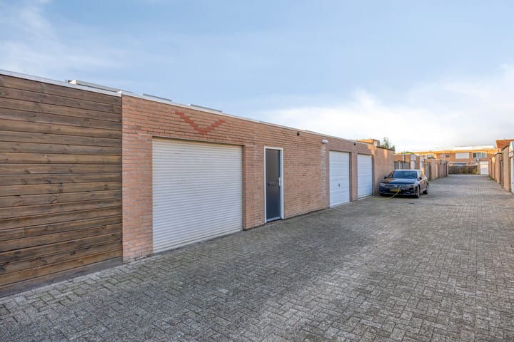 Photo 54 of Gelaarsde Kat 48