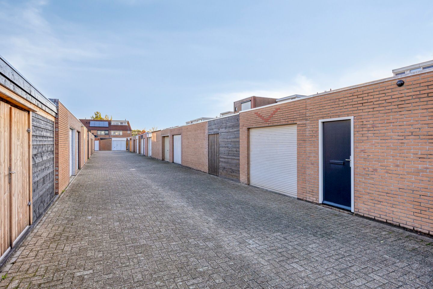 Photo 55 of Gelaarsde Kat 48