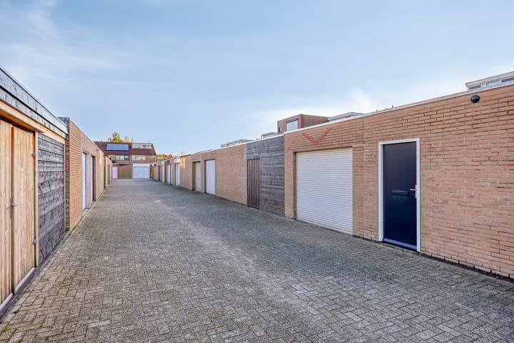 Photo 55 of Gelaarsde Kat 48