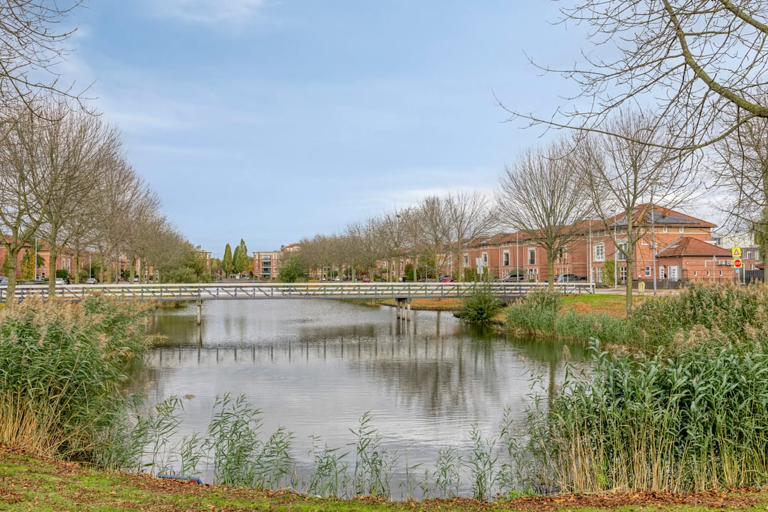 Photo 56 of Gelaarsde Kat 48