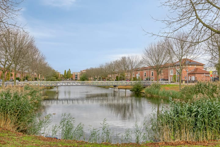 Photo 56 of Gelaarsde Kat 48