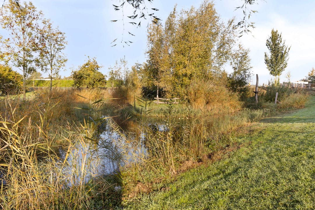 Photo 41 of Stuifduin 13