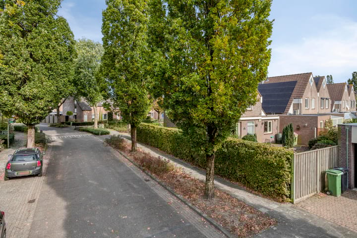 Foto 4 van De Elbe 25