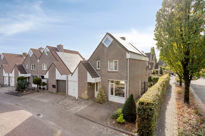 Foto 6 van De Elbe 25