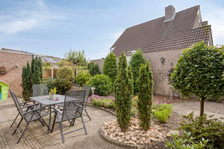 Foto 36 van De Elbe 25