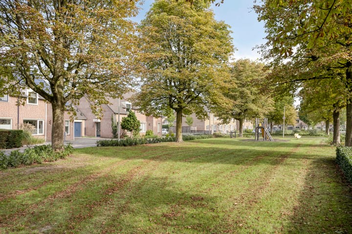 Foto 38 van De Elbe 25