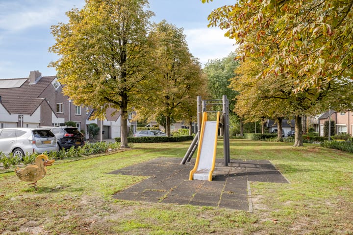 Foto 39 van De Elbe 25