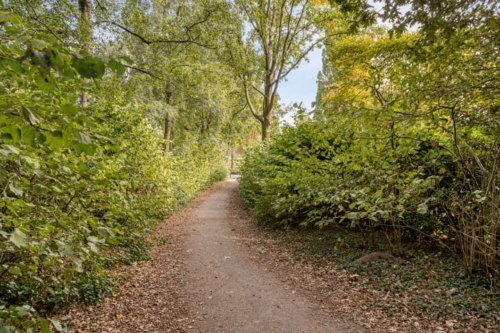 Foto 40 van De Elbe 25