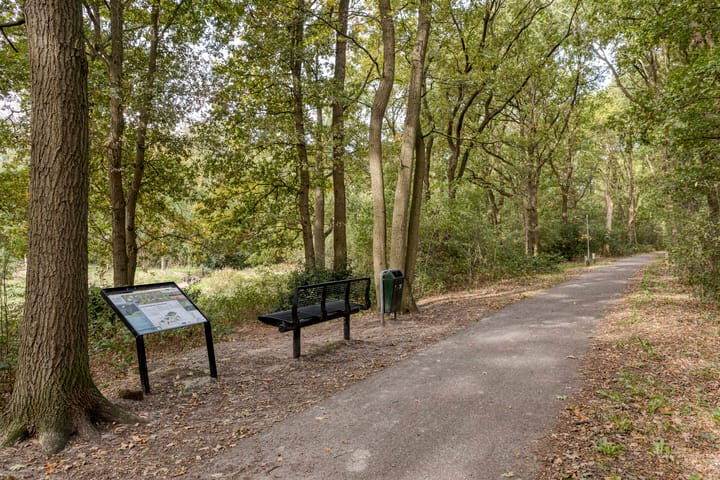 Foto 41 van De Elbe 25