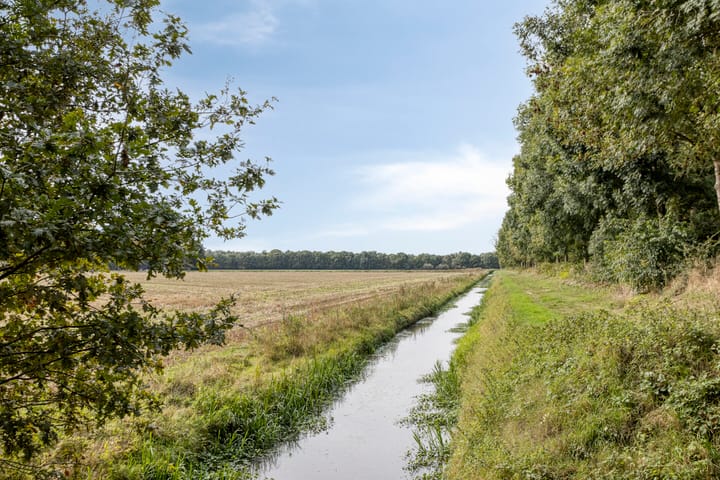 Foto 42 van De Elbe 25