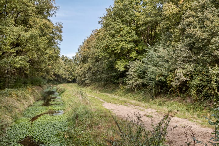 Foto 43 van De Elbe 25