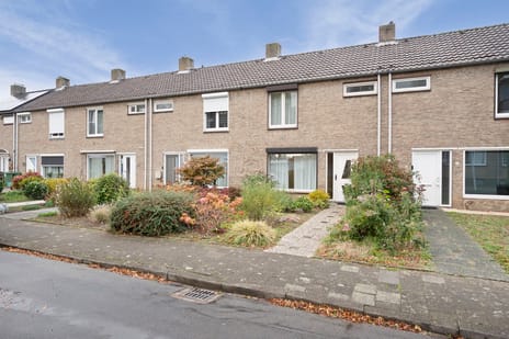 undefined main image