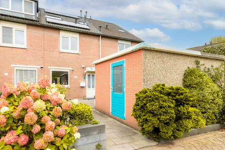 undefined main image