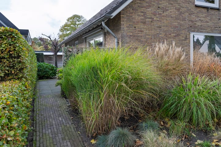 Foto 44 van Rembrandtlaan 39