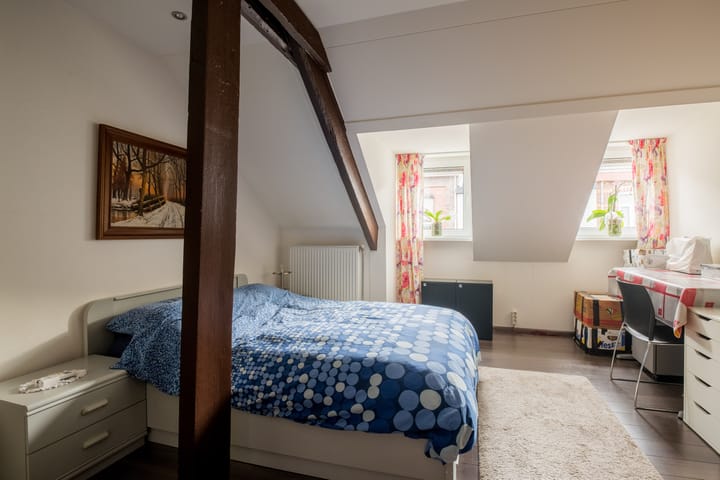 Photo 18 of Dolmansstraat 46