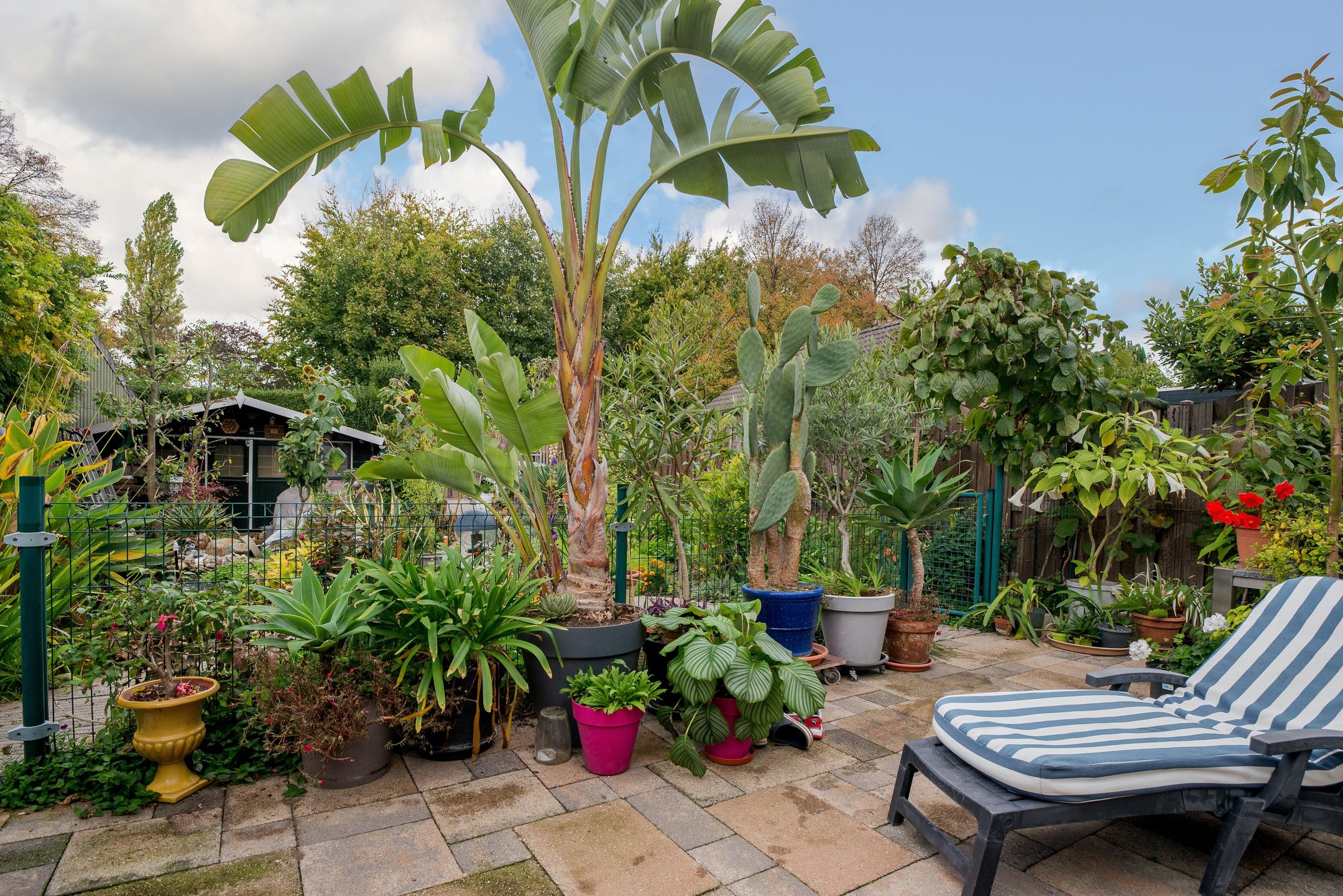 Foto 27 van Dolmansstraat 46