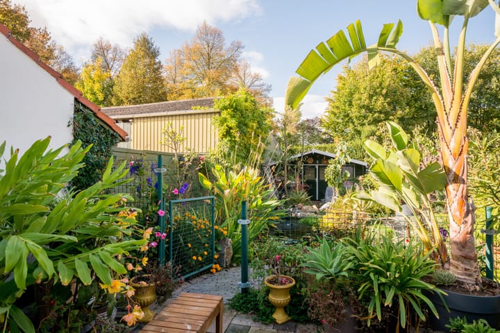 Photo 23 of Dolmansstraat 46