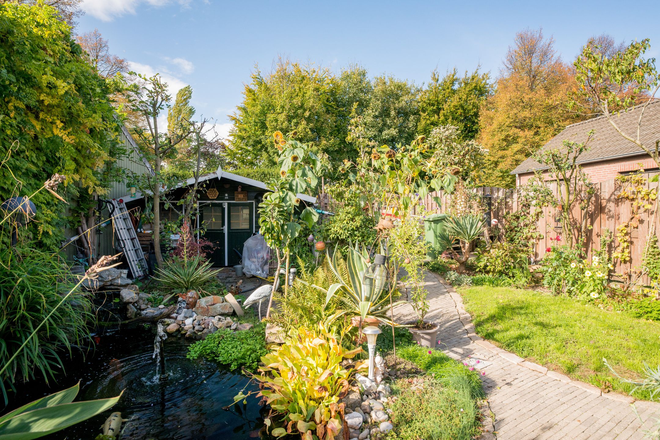 Foto 24 van Dolmansstraat 46