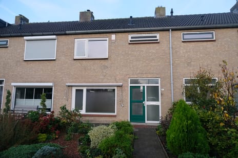 undefined main image