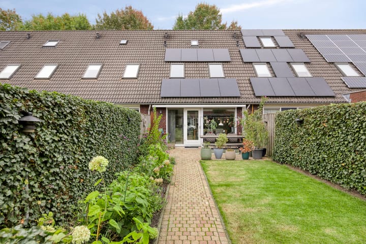 Foto 4 van Roodeschoolstraat 34