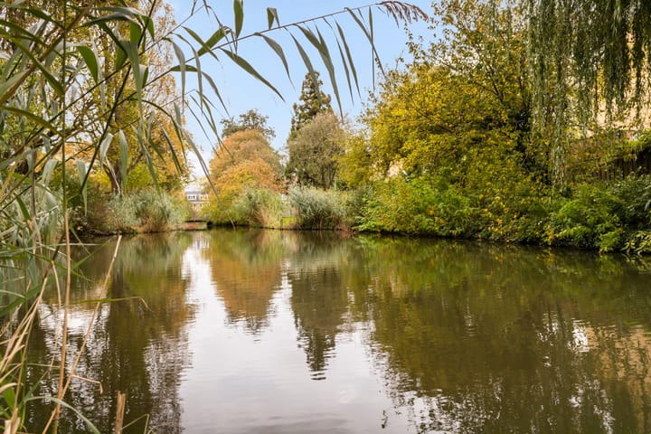 Foto 55 van Dr. Kuyperlaan 38