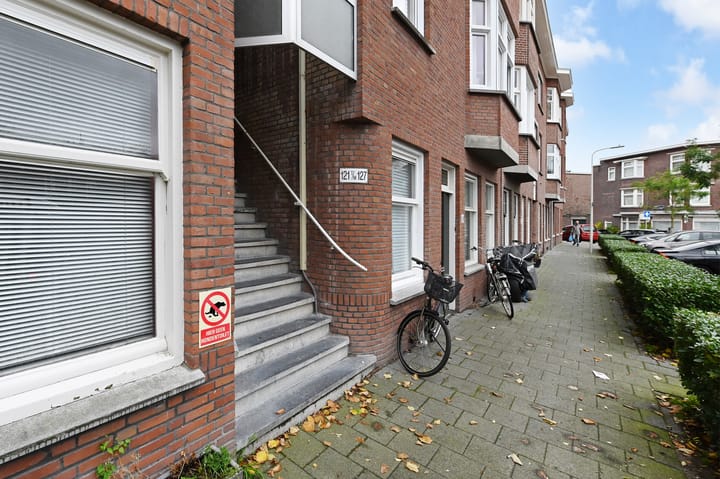 Foto 37 van De Sillestraat 123