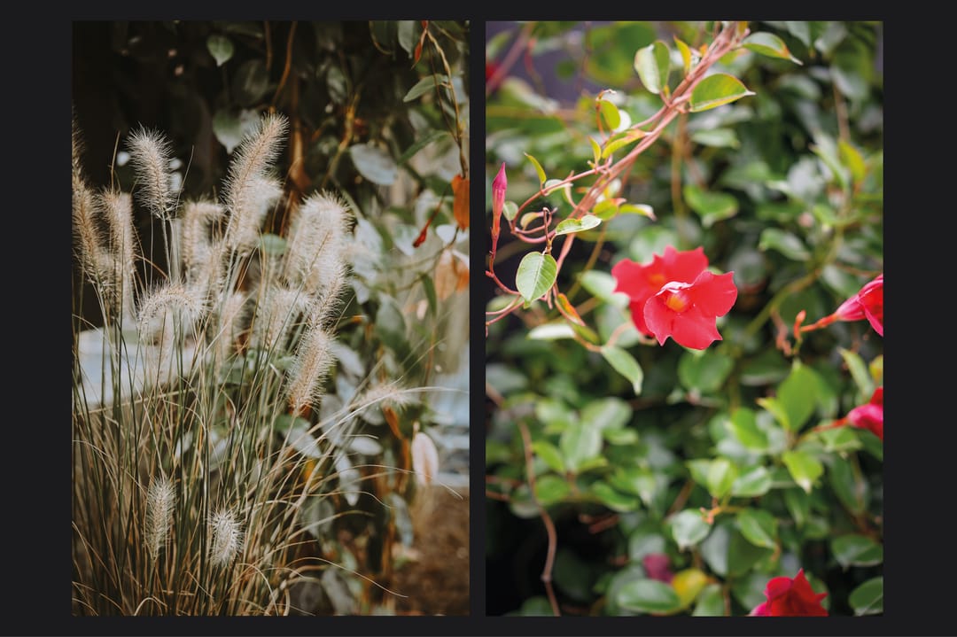 Foto 41 van Erik de Rodestraat 35