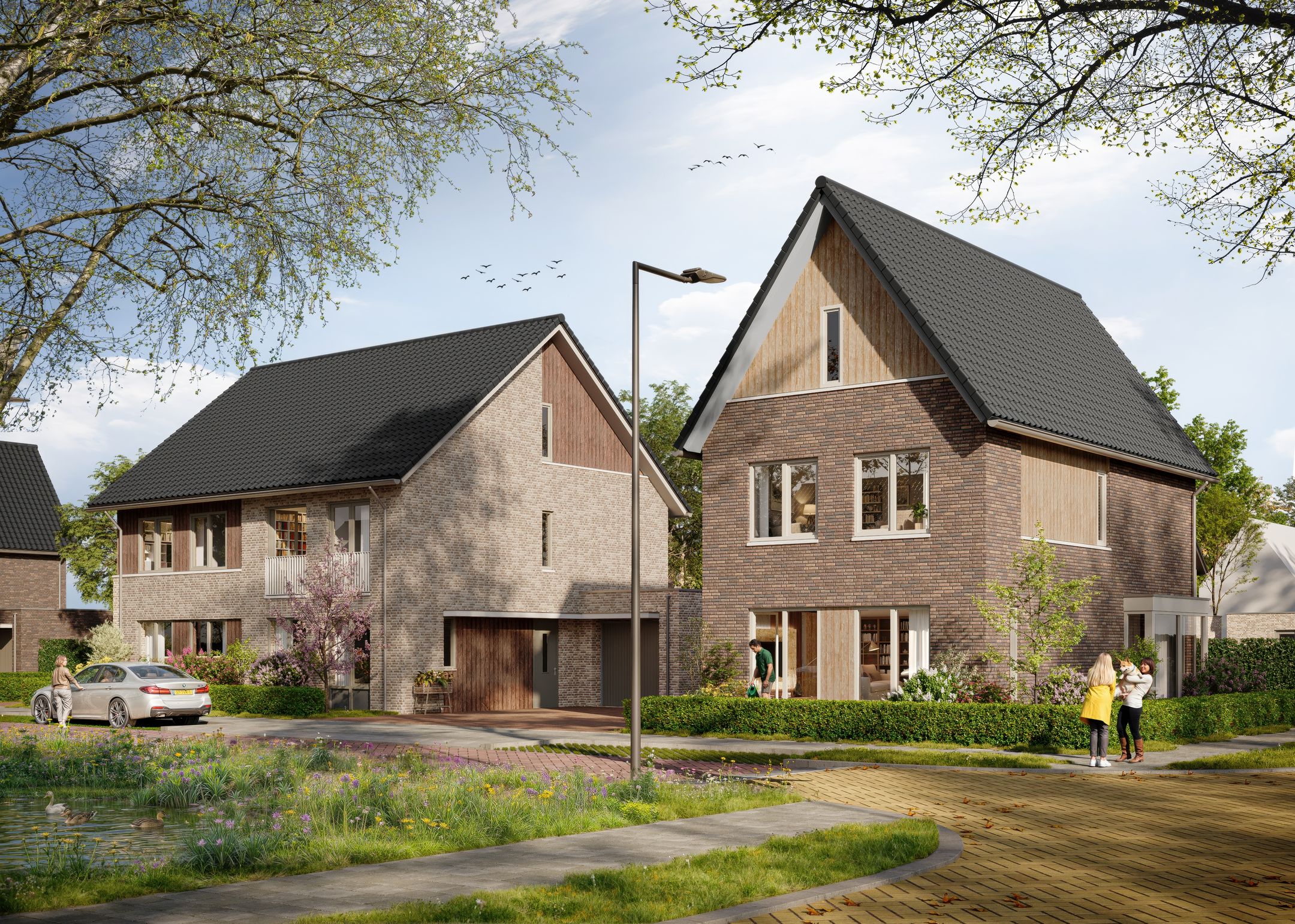 Image of Lobelia - FASE 2