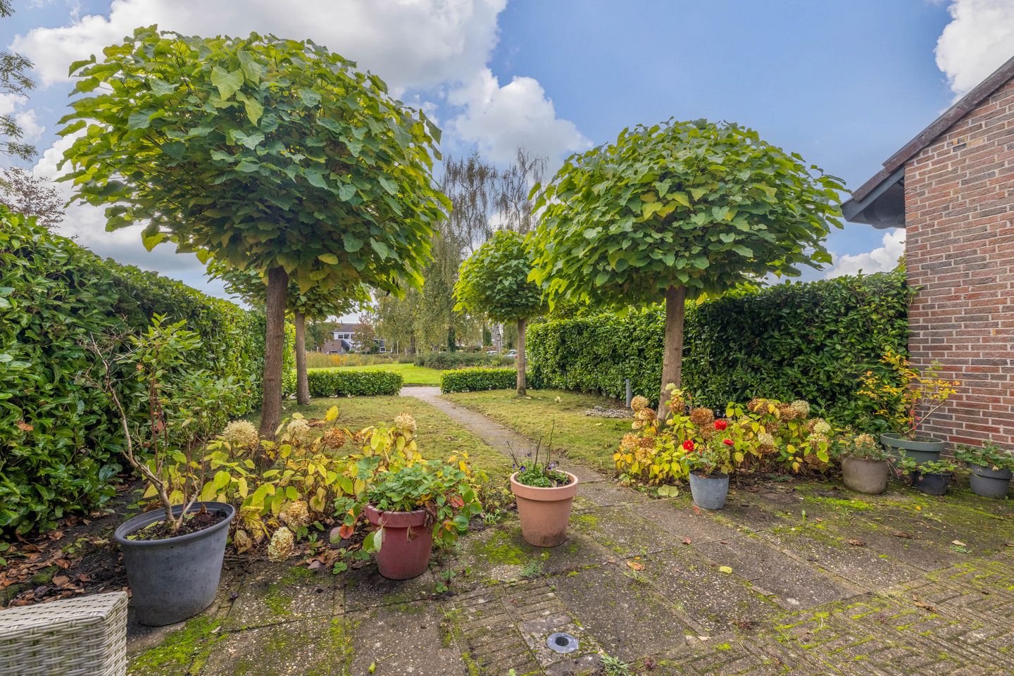 Foto 40 van Frisiasingel 31