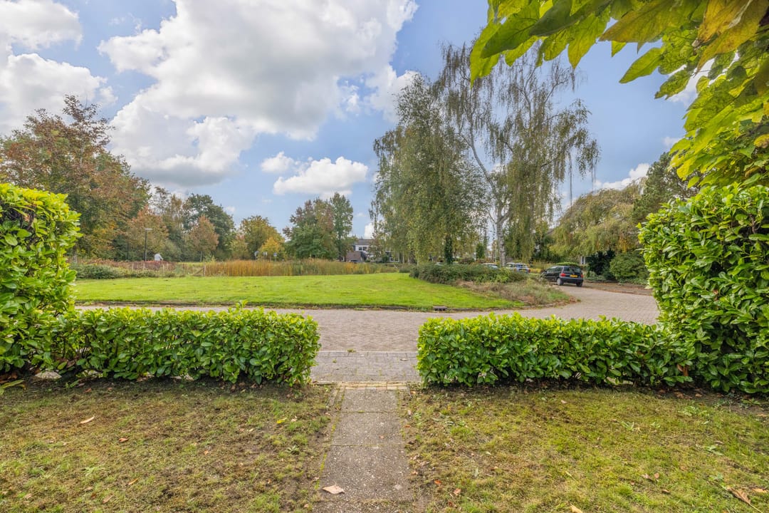 Foto 41 van Frisiasingel 31