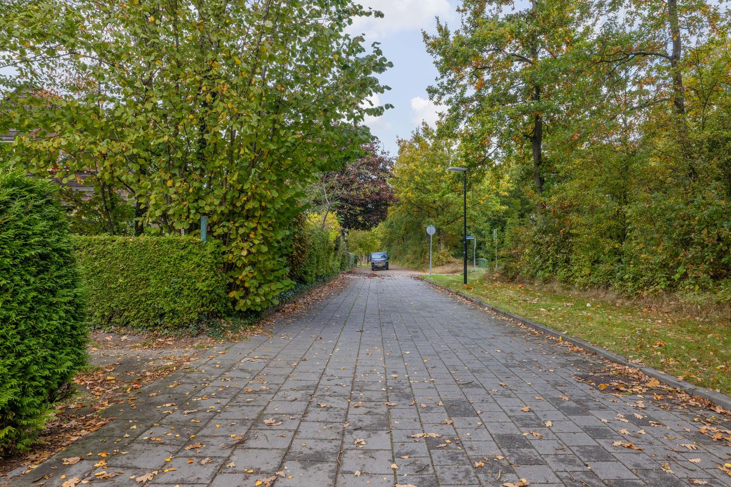 Foto 44 van Frisiasingel 31