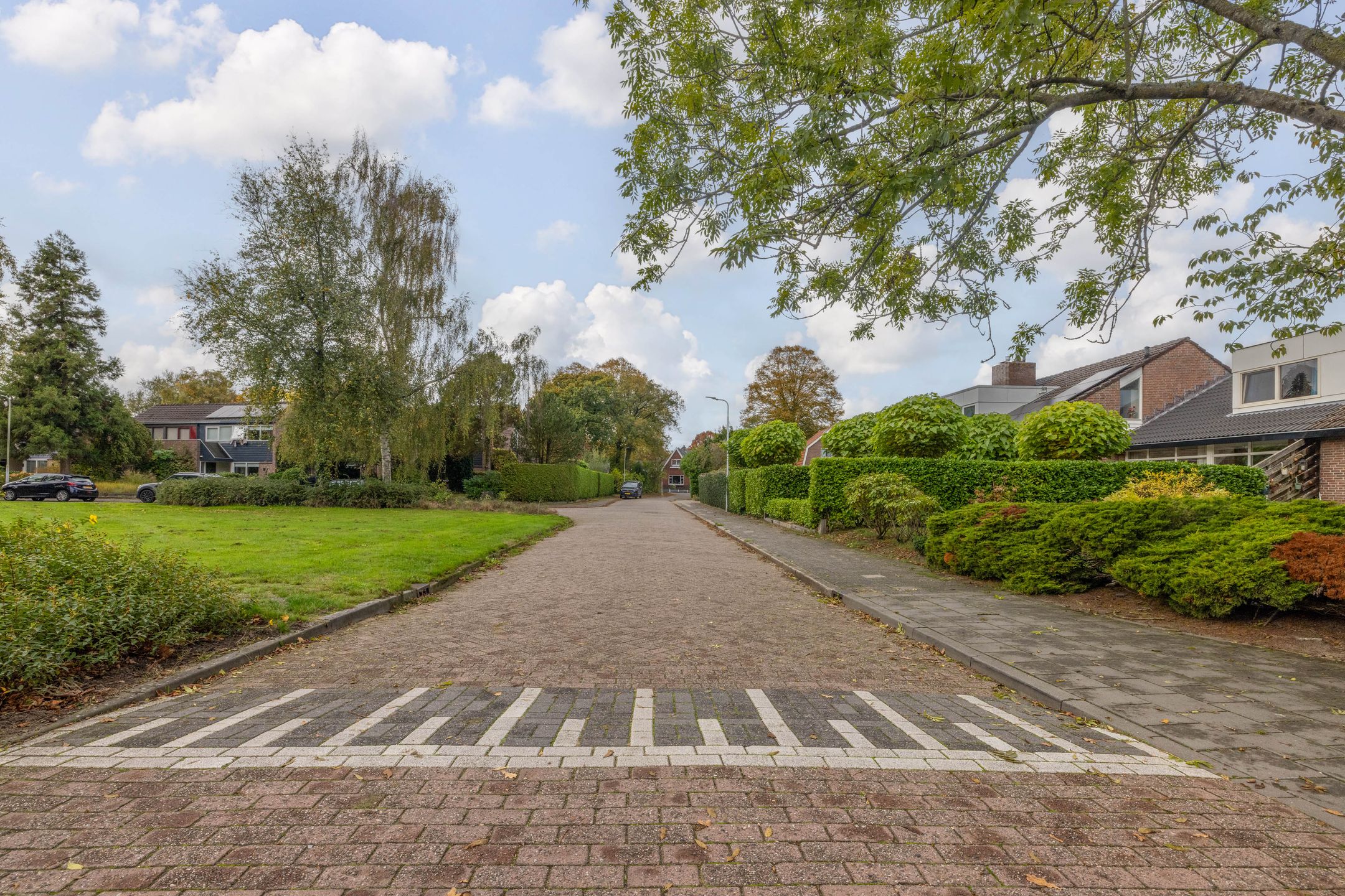 Foto 45 van Frisiasingel 31