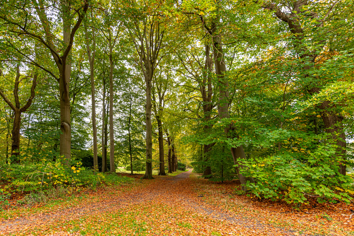 Foto 40 van Zuidermeent 50