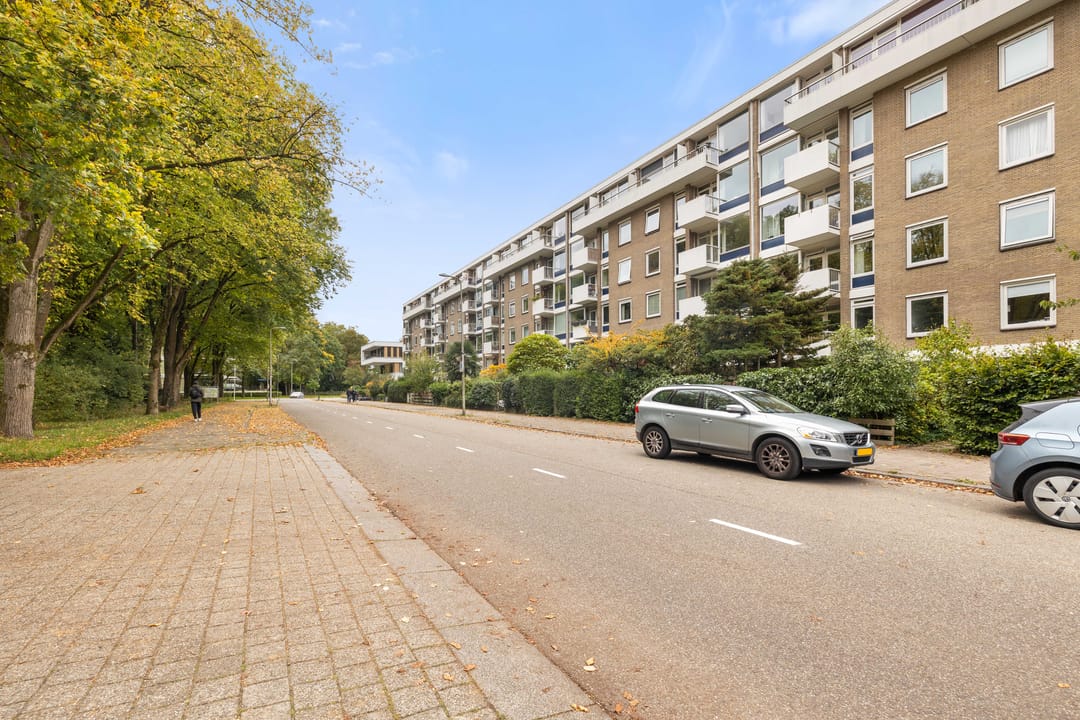 Foto 22 van Ravellaan 151