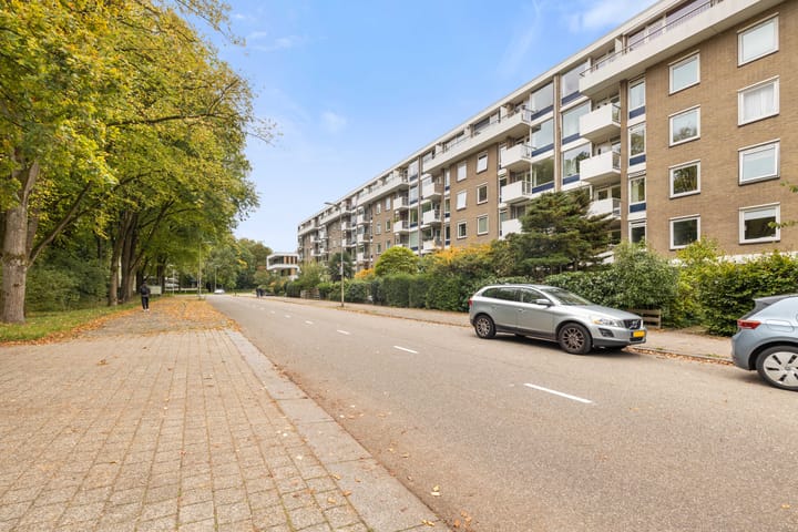 Foto 22 van Ravellaan 151