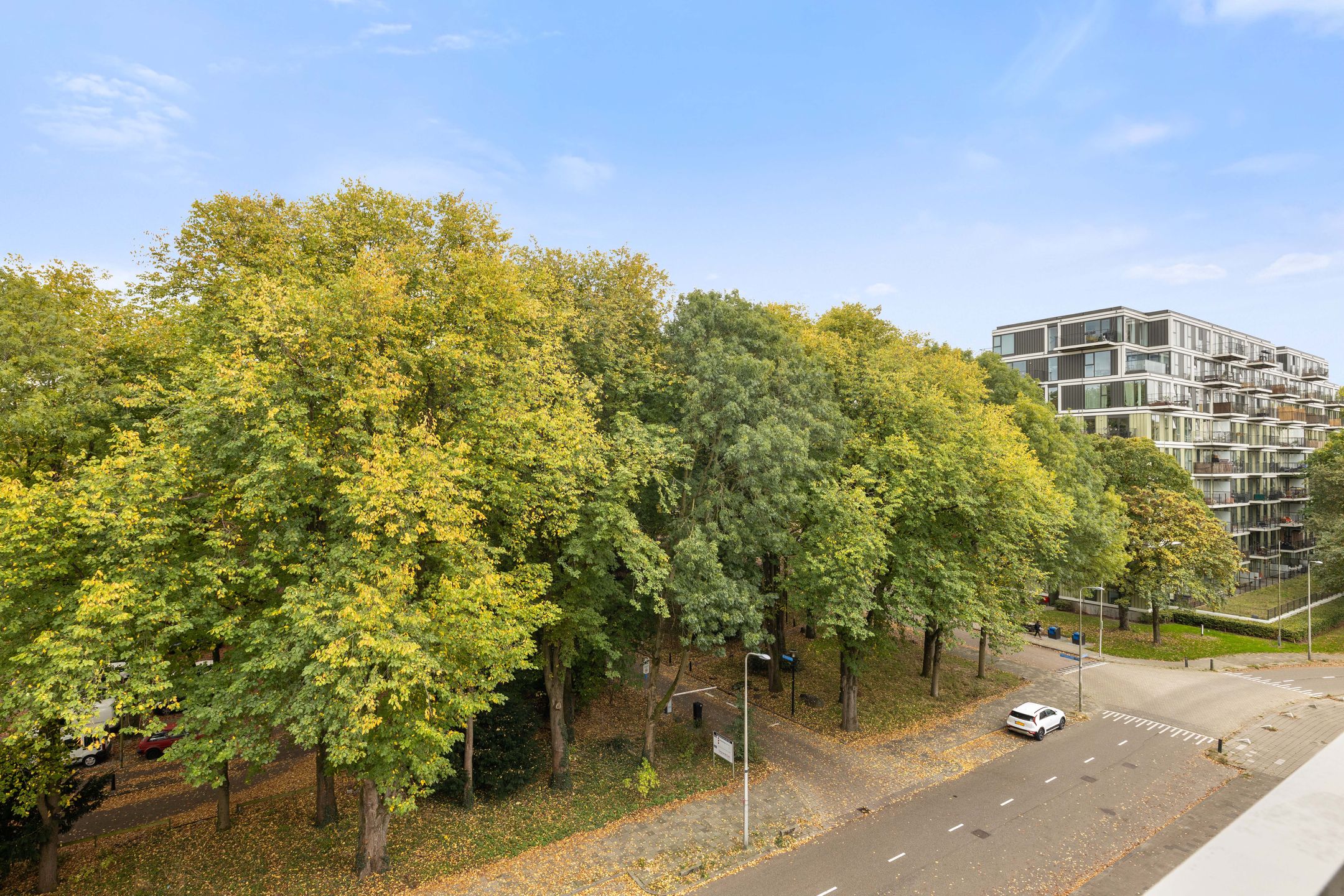 Foto 15 van Ravellaan 151