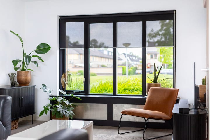 Foto 5 van Anijsveld 4