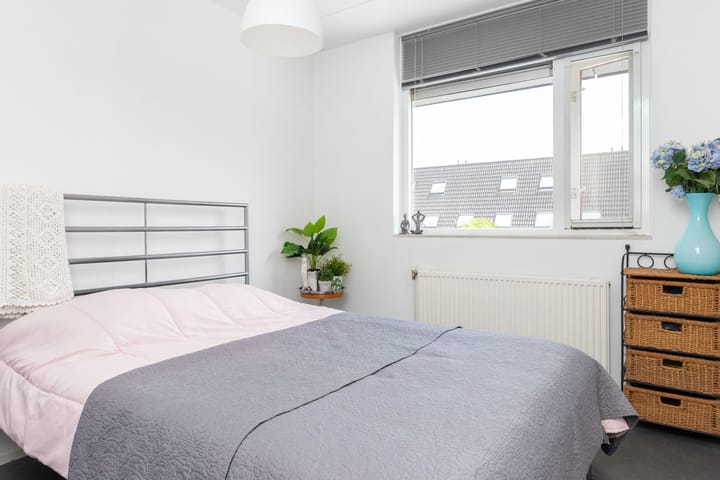 Foto 19 van Anijsveld 4