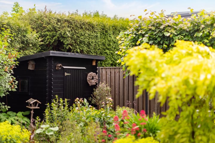 Foto 35 van Anijsveld 4