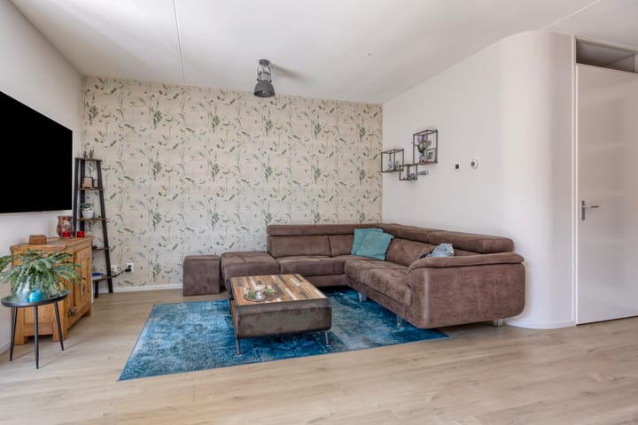 Foto 9 van Regenboog 9