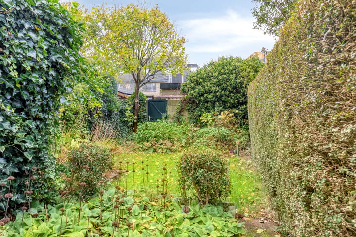 Foto 44 van Johan Willem Frisolaan 35