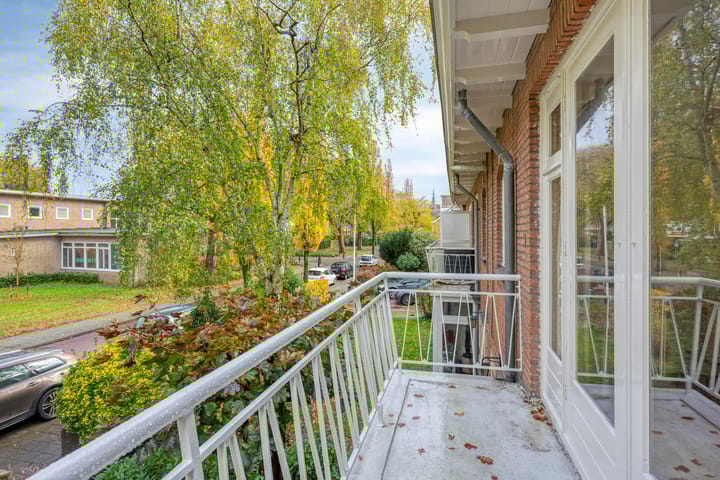 Foto 49 van Johan Willem Frisolaan 35