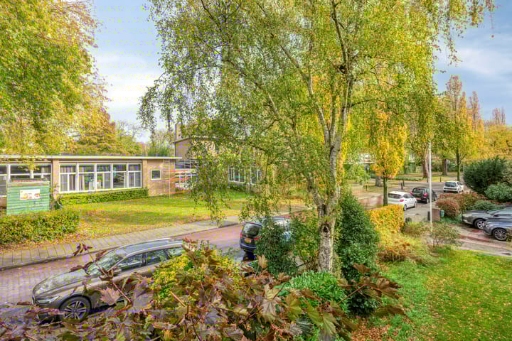 Foto 50 van Johan Willem Frisolaan 35