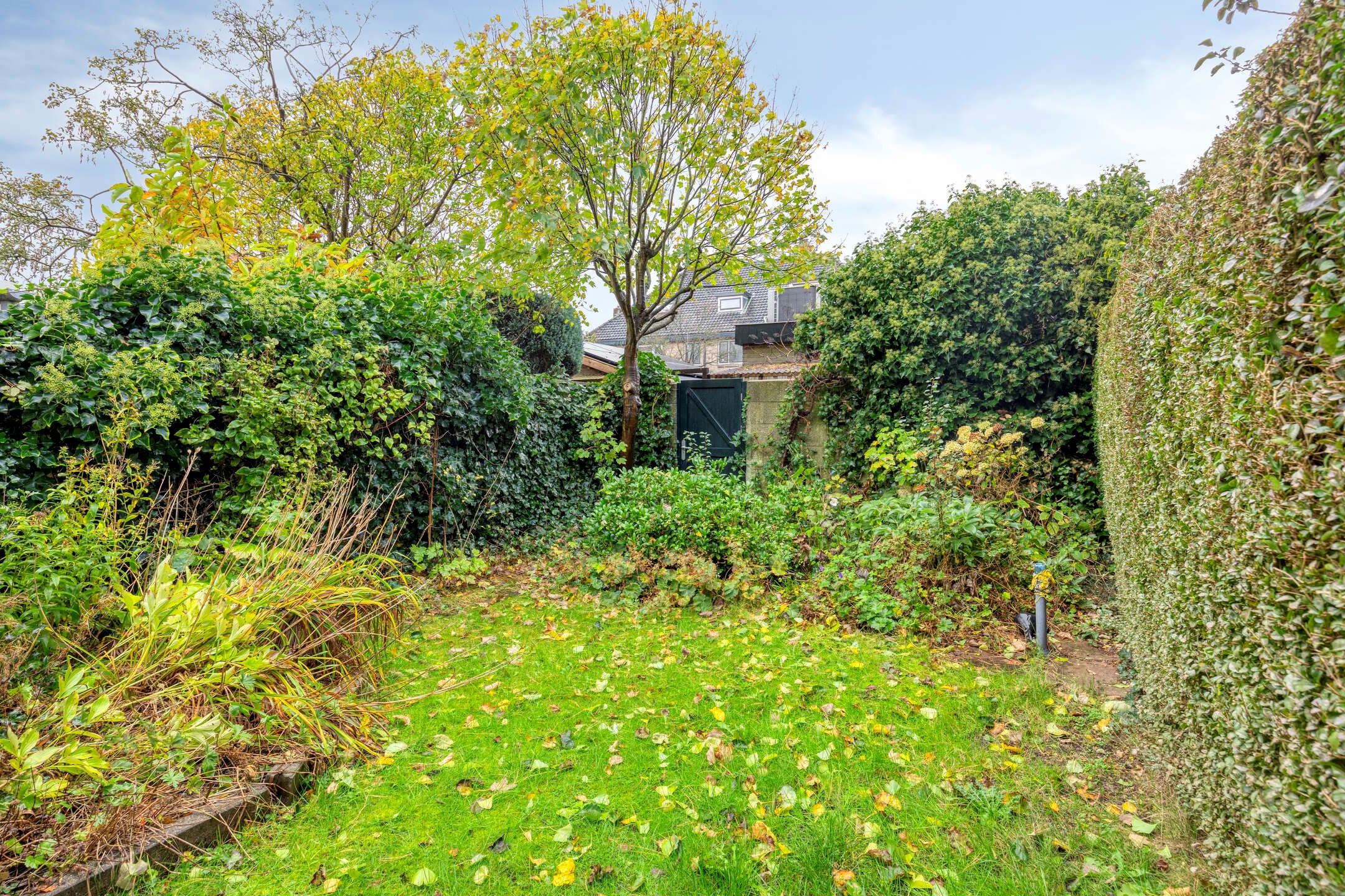 Foto 45 van Johan Willem Frisolaan 35