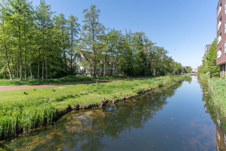 Foto 36 van Kozakkenbergerhout 3