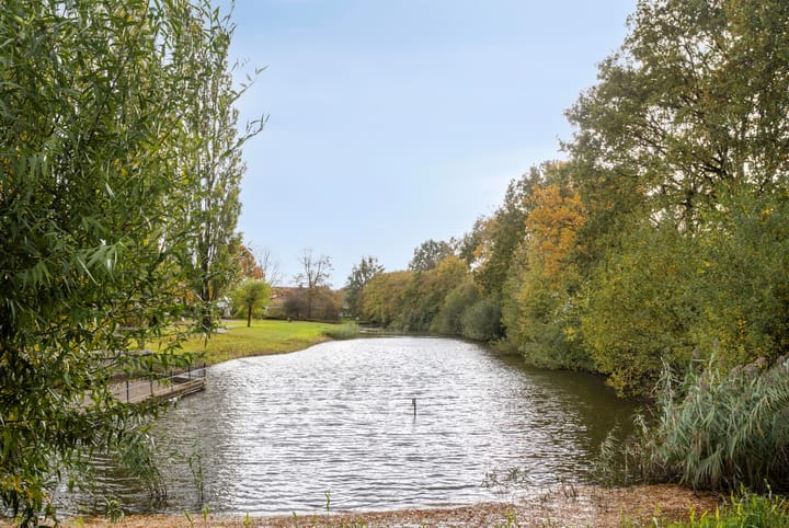 Foto 32 van Malandstraat 20