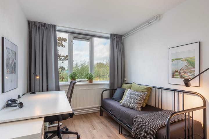 Photo 29 of Poldermolen 8