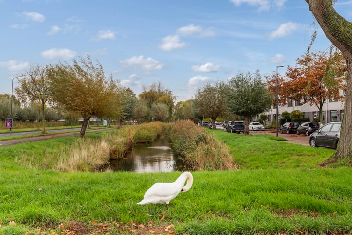 Photo 41 of Poldermolen 8