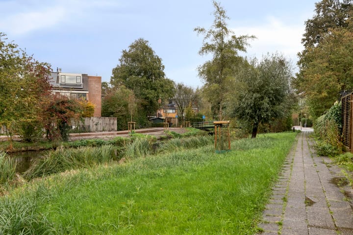 Photo 27 of Klaproos 20